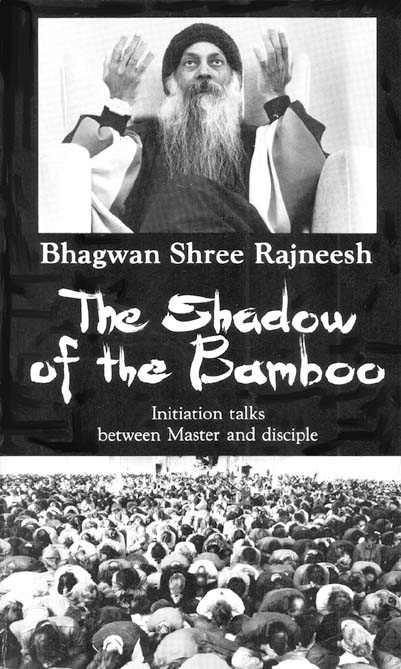 The Shadow of the Bamboo