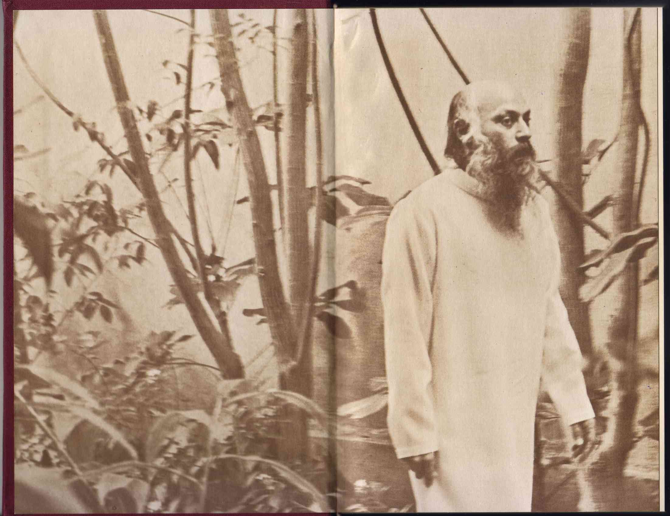 The Discipline of Transcendence, Vol 4